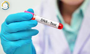 Gwajin kwayar halitta na DNA
